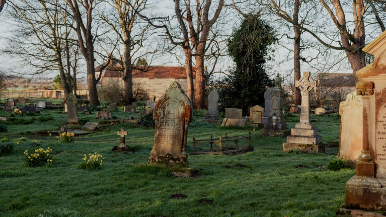 A spring morning in a graveyard with dew on the ground and daffodils. The gravestones are a mixture of headstones and crosses. All look pre-20th century.